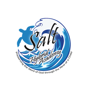 Salt Hybrid Academy Logo